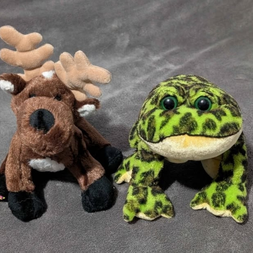 2 Webkinz